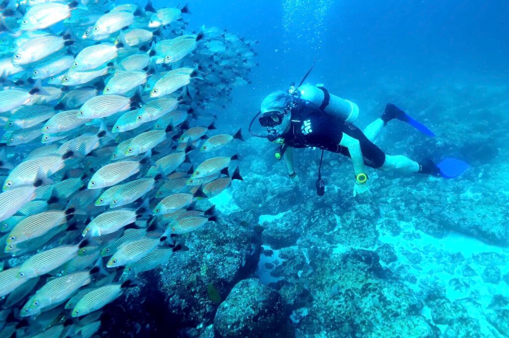 Discover-Scuba-at-Las-Caletas-1-tanque-explore-pv-4