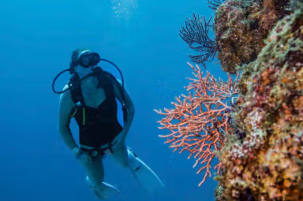 Scuba Dive at Los Arcos 2