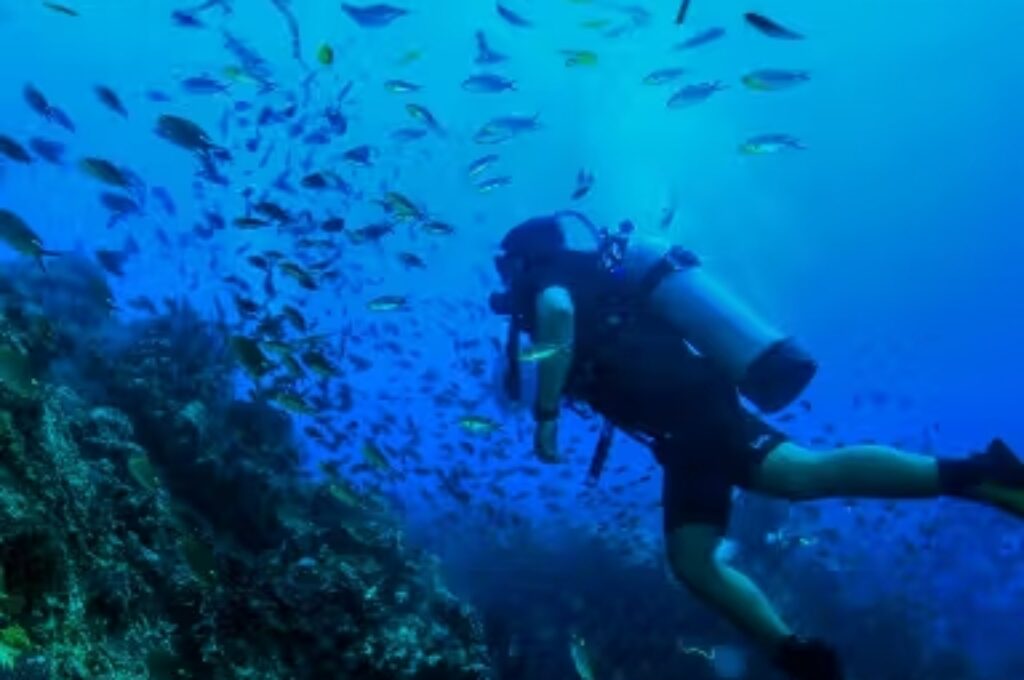 Scuba-Dive-at-Los-Arcos-4