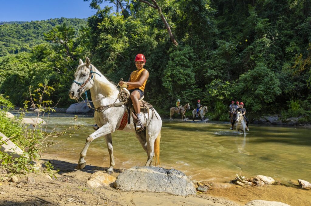 Tour de Caballos & Mulas